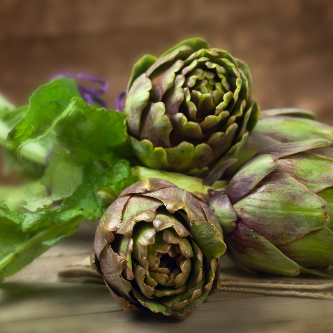 fresh artichokes