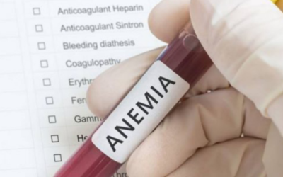 Are You Concerned about Anemia or Other Nutrient Deficiencies?