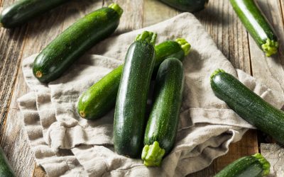 Zucchini Fun Facts!