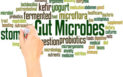 Beyond Diet: Microbiome’s role in stubborn weight