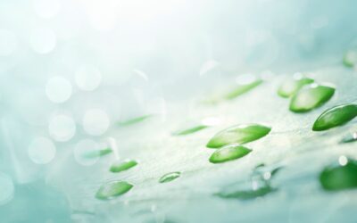 Hydrogen: The Foundation of Life